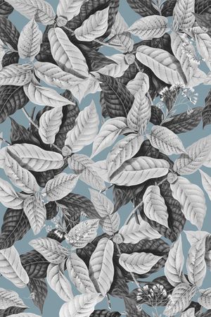 热带印花华亿平台图片