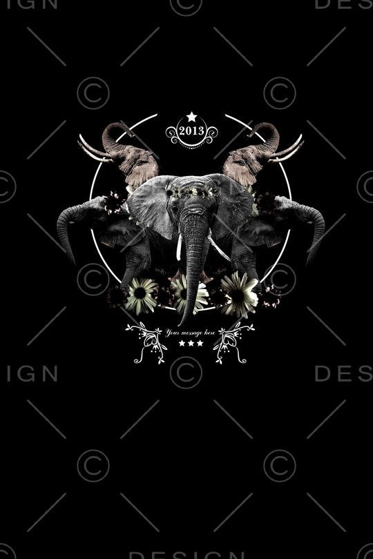 动物大象印花华亿平台图片