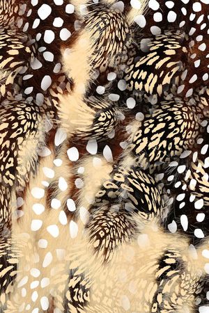 女装图案印花华亿平台图片