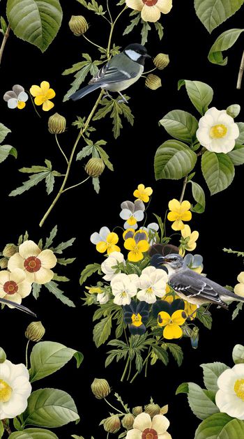 697215-复古花鸟-B