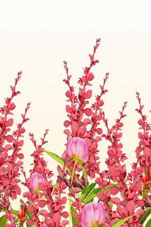 花朵印花华亿平台图片