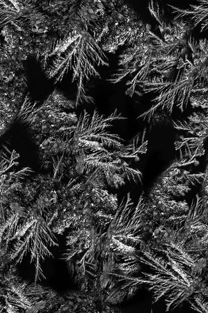 冰雪印花华亿平台图片