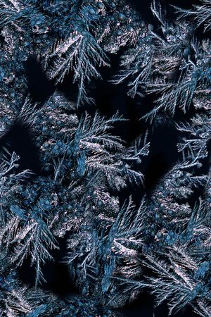 冰雪印花华亿平台图片