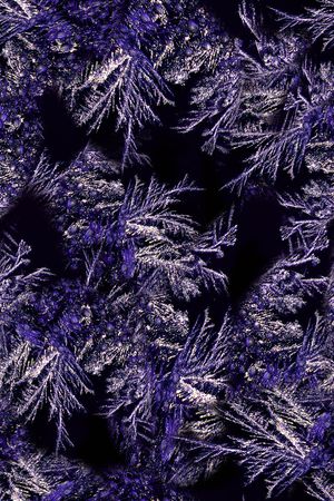 女装印花华亿平台图片