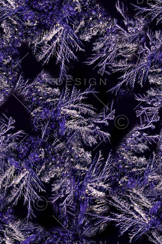 女装印花华亿平台图片