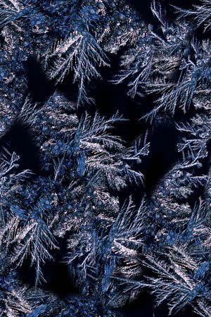 冰雪印花华亿平台图片