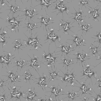 697452-裂玻璃狼灰