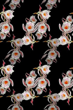 植物花卉印花华亿平台图片