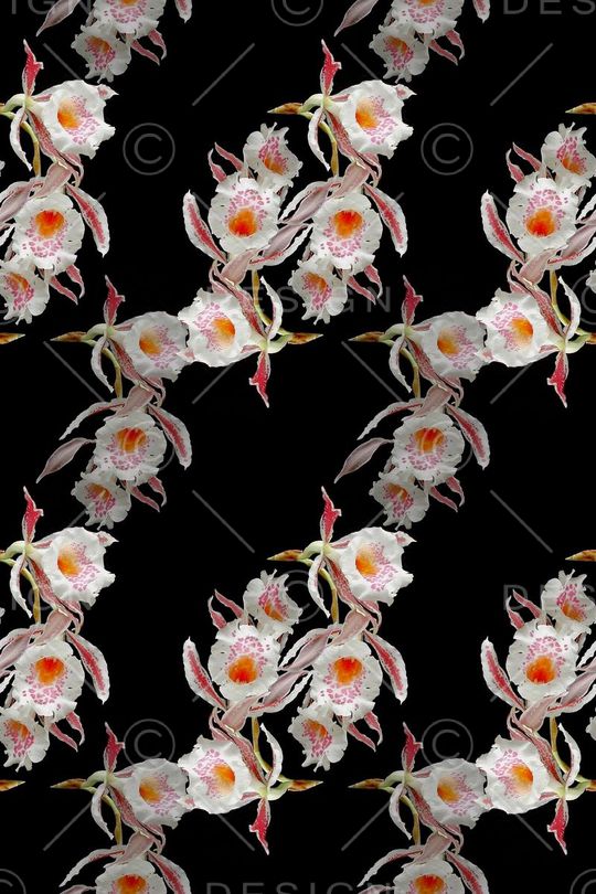 植物花卉印花华亿平台图片