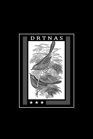 鸟印花华亿平台图片