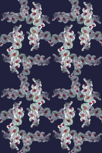 697583-160829-青蓝雅韵-5-1