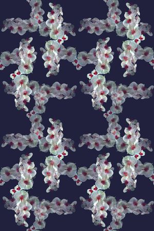 格子图案印花华亿平台图片