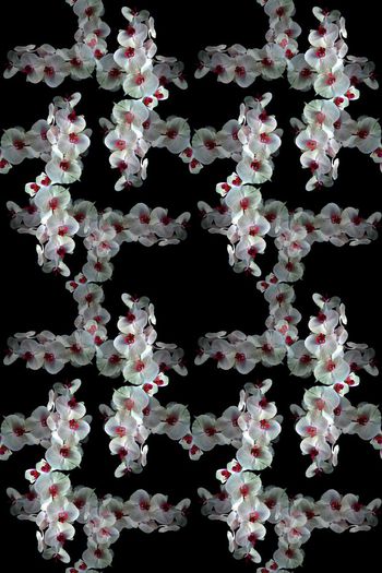 697584-160829-青蓝雅韵-5-2