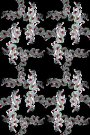 格子图案印花华亿平台图片