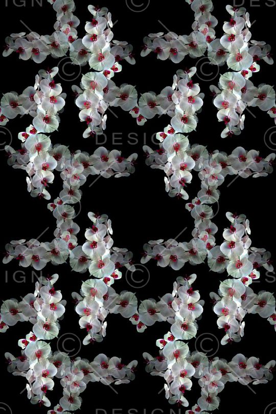 格子图案印花华亿平台图片