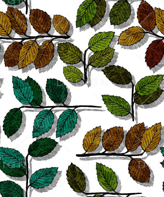 树叶印花华亿平台图片