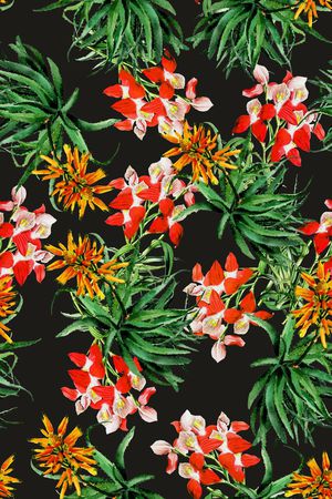 热带印花华亿平台图片