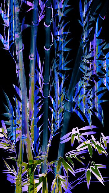 bamboo印花华亿平台图片