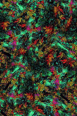 热带印花华亿平台图片