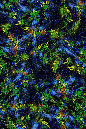 热带印花华亿平台图片