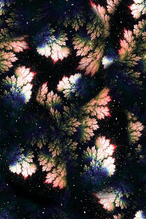 女装印花华亿平台图片