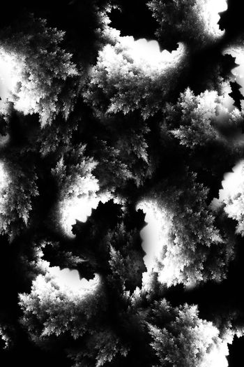 697912-FLZ-8-181.....