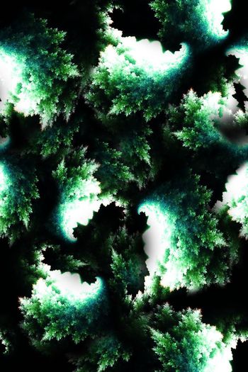 697913-FLZ-8-181....