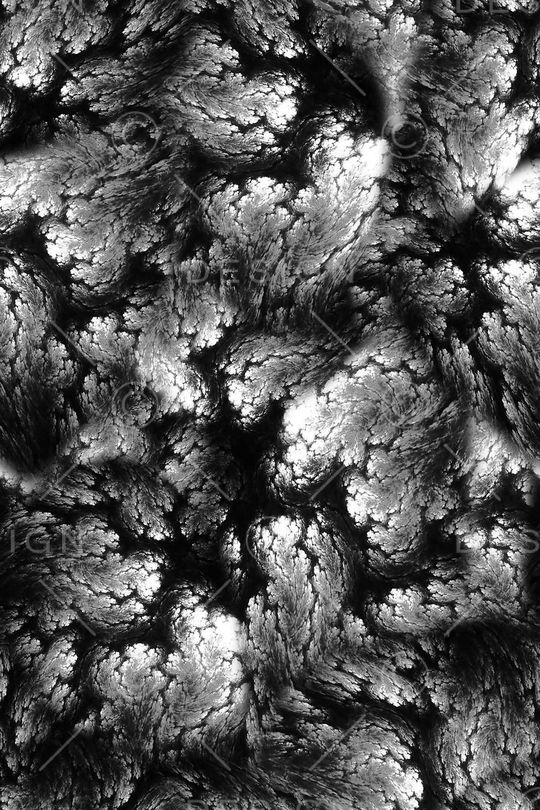 女装印花华亿平台图片