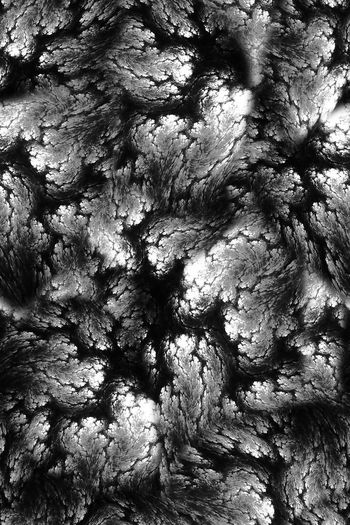 697918-FLZ-8-182.....