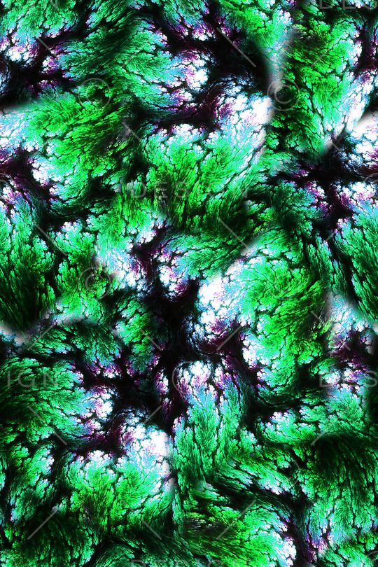 女装印花华亿平台图片