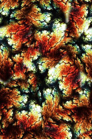 女装印花华亿平台图片