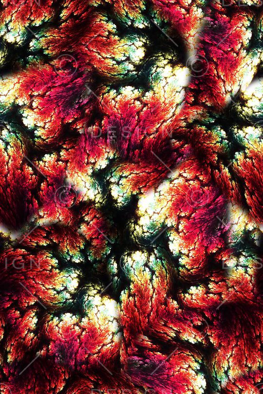 女装印花华亿平台图片