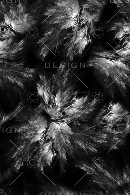 女装印花华亿平台图片