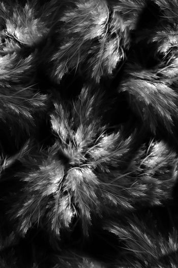 697953-FLZ-8-186.....