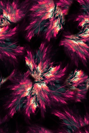 697954-FLZ-8-186....