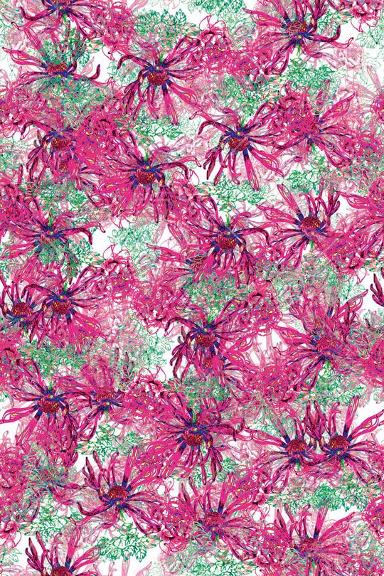 雏菊印花华亿平台图片