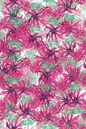 雏菊印花华亿平台图片