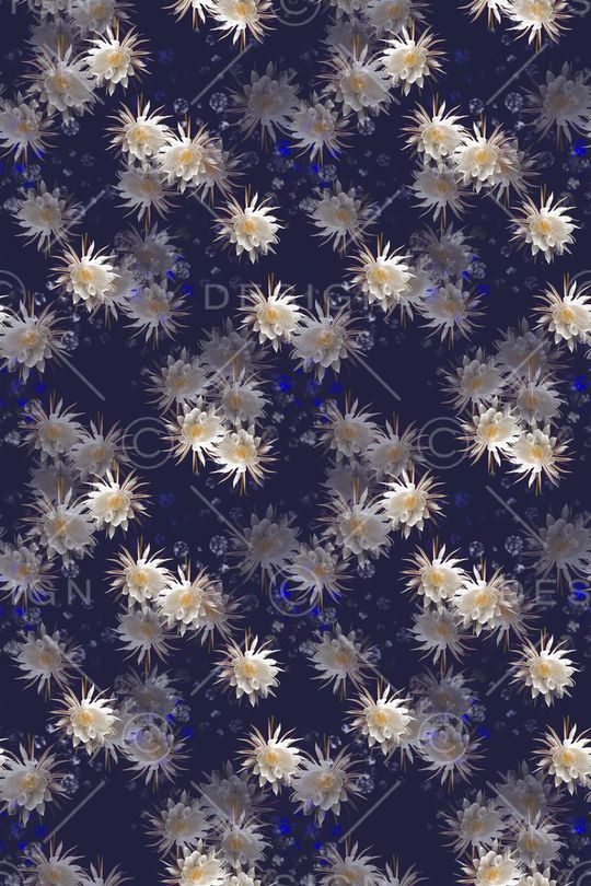 花卉写真印花华亿平台图片