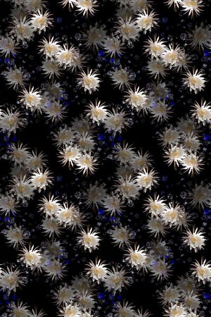 花卉写真印花华亿平台图片