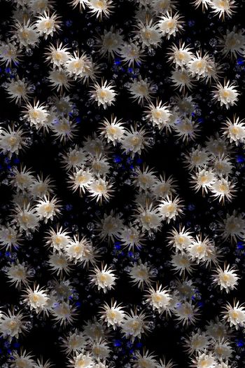 697997-160829-青蓝雅韵-6-2