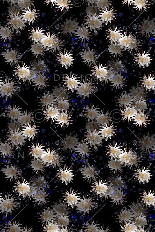 花卉写真印花华亿平台图片