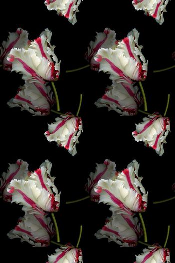 698038-160829-青蓝雅韵-7-1