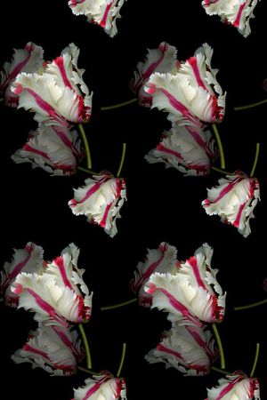 植物花卉印花华亿平台图片