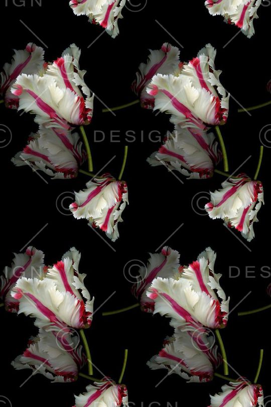 植物花卉印花华亿平台图片