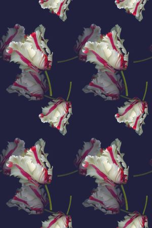 植物花卉印花华亿平台图片