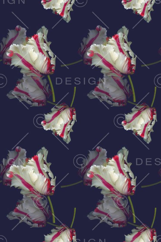 植物花卉印花华亿平台图片