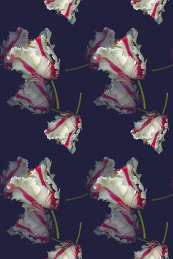 698039-160829-青蓝雅韵-7-2