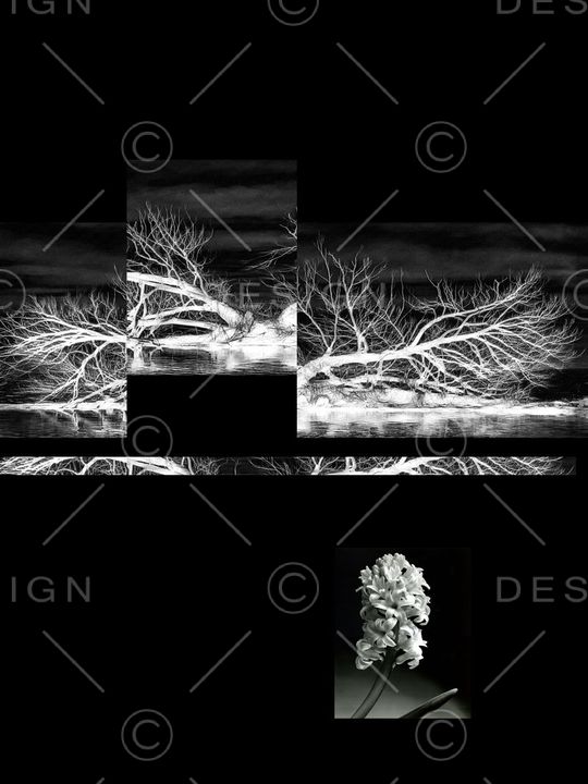 时尚男装印花华亿平台图片