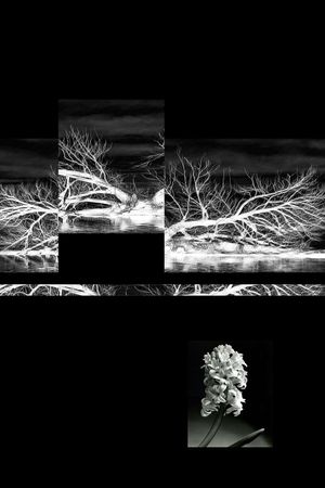 时尚男装印花华亿平台图片