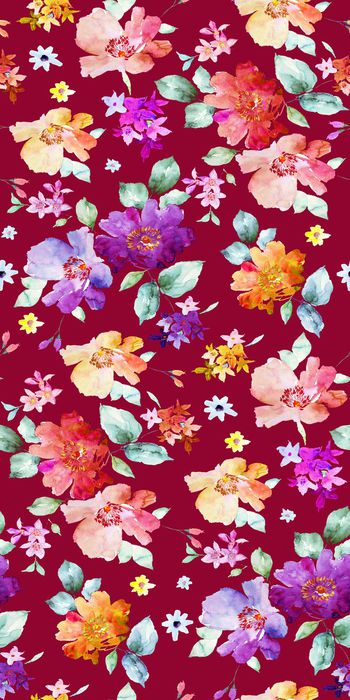 698102-水彩花卉植物 花朵--3